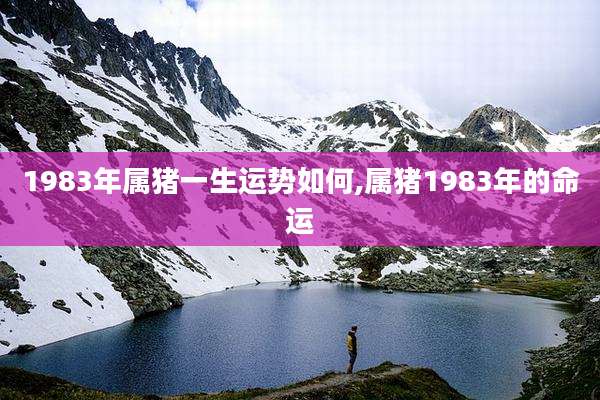 1983年属猪一生运势如何,属猪1983年的命运