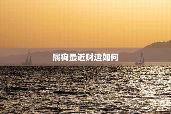 属狗最近财运如何
