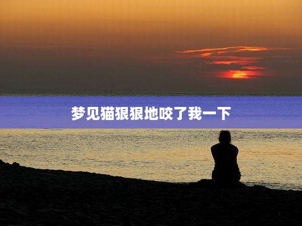 梦见猫狠狠地咬了我一下