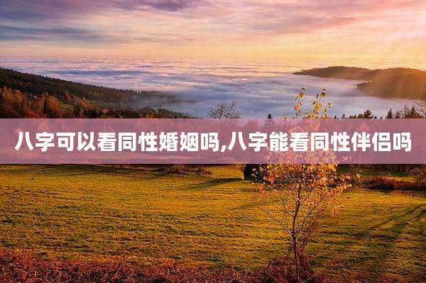 八字可以看同性婚姻吗,八字能看同***吗