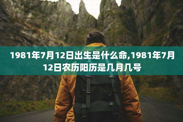 1981年7月12日出生是什么命,1981年7月12日农历阳历是几月几号