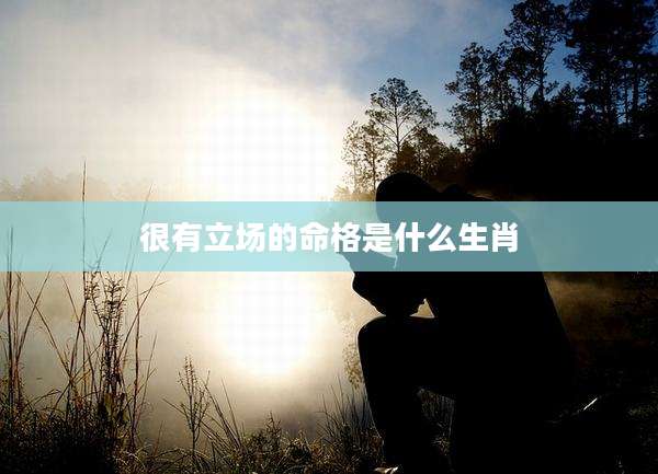 很有立场的命格是什么生肖