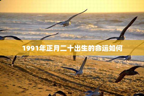 1991年正月二十出生的命运如何