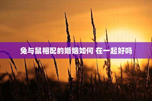兔与鼠相配的婚姻如何 在一起好吗
