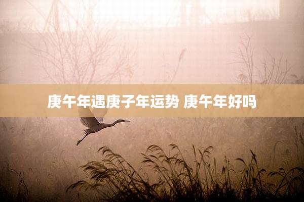 庚午年遇庚子年运势 庚午年好吗