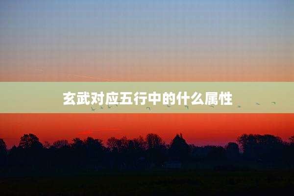 玄武对应五行中的什么属性