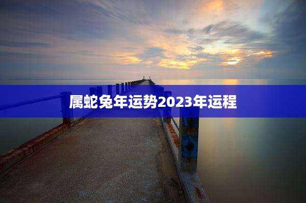 属蛇兔年运势2023年运程