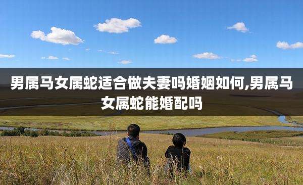 男属马女属蛇适合做夫妻吗婚姻如何,男属马女属蛇能婚配吗
