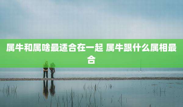 属牛和属啥最适合在一起 属牛跟什么属相最合
