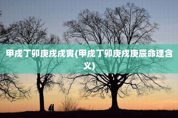 甲戌丁卯庚戌戌寅(甲戌丁卯庚戌庚辰命理含义)