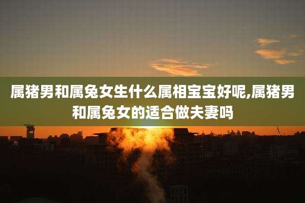 属猪男和属兔女生什么属相宝宝好呢,属猪男和属兔女的适合做夫妻吗