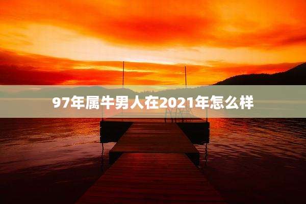 97年属牛男人在2021年怎么样