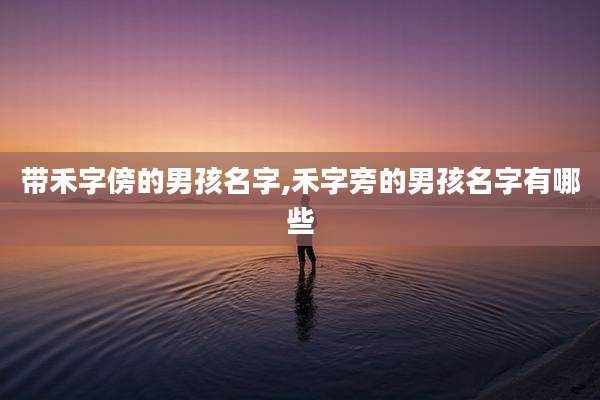 带禾字傍的男孩名字,禾字旁的男孩名字有哪些