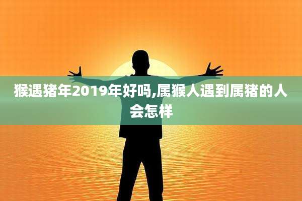 猴遇猪年2019年好吗,属猴人遇到属猪的人会怎样