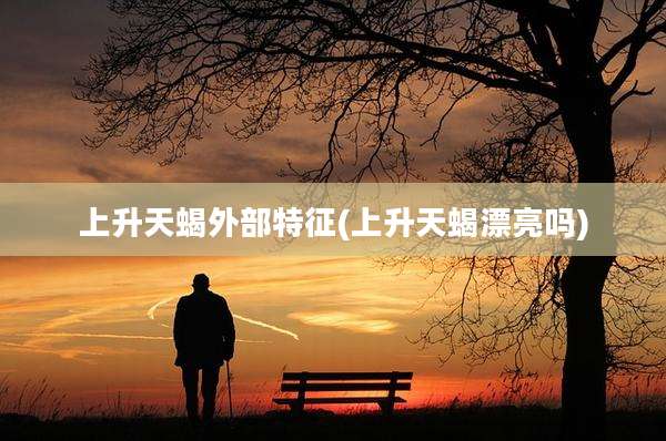 上升天蝎外部特征(上升天蝎漂亮吗)