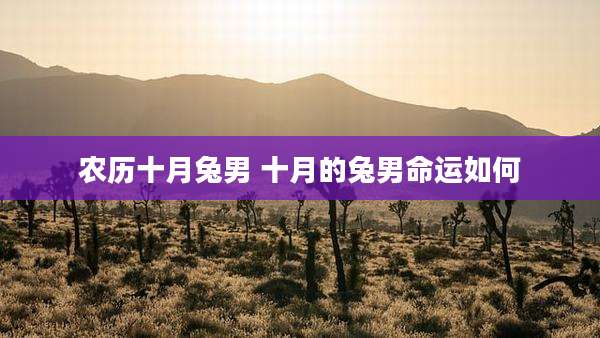 农历十月兔男 十月的兔男命运如何