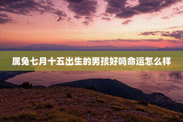 属兔七月十五出生的男孩好吗命运怎么样