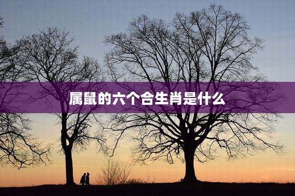 属鼠的六个合生肖是什么