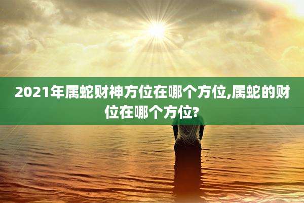 2021年属蛇财神方位在哪个方位,属蛇的财位在哪个方位?