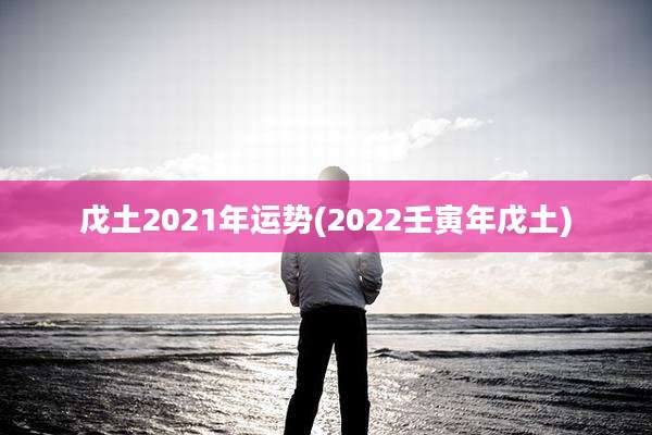 戊土2021年运势(2022壬寅年戊土)