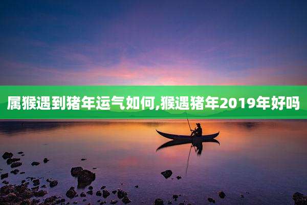 属猴遇到猪年运气如何,猴遇猪年2019年好吗