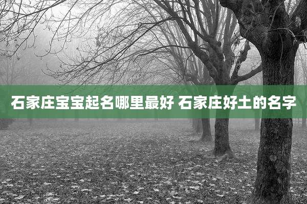 石家庄宝宝起名哪里最好 石家庄好土的名字