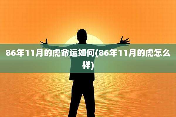 86年11月的虎命运如何(86年11月的虎怎么样)