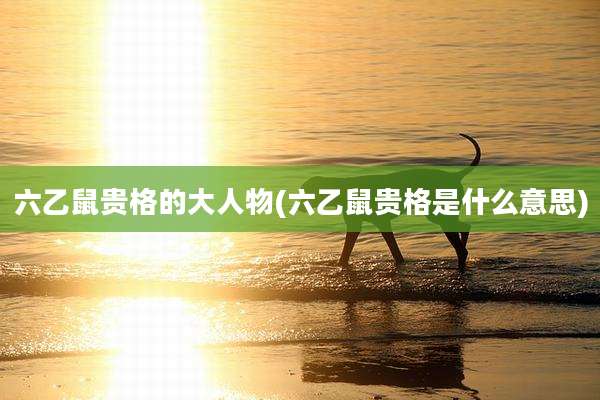 六乙鼠贵格的大人物(六乙鼠贵格是什么意思)