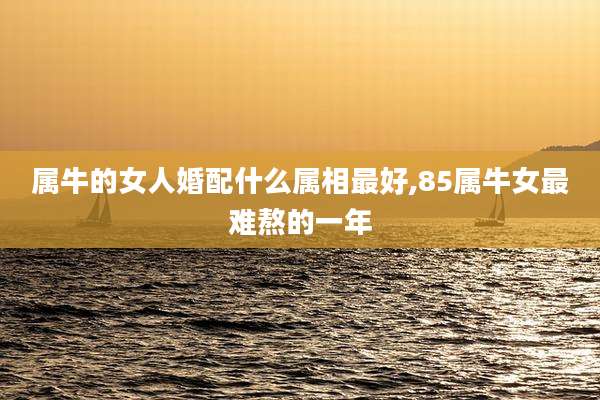 属牛的女人婚配什么属相最好,85属牛女最难熬的一年