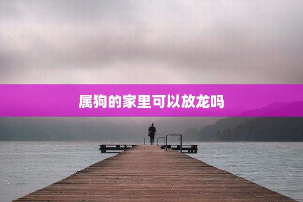 属狗的家里可以放龙吗