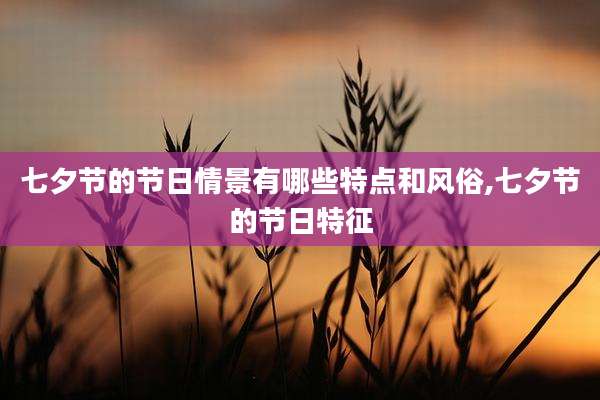 七夕节的节日情景有哪些特点和风俗,七夕节的节日特征