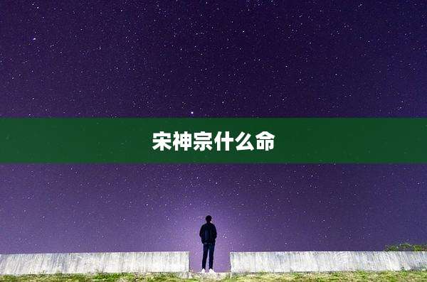 宋神宗什么命