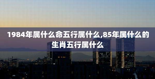 1984年属什么命五行属什么,85年属什么的生肖五行属什么