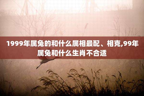 1999年属兔的和什么属相最配、相克,99年属兔和什么生肖不合适