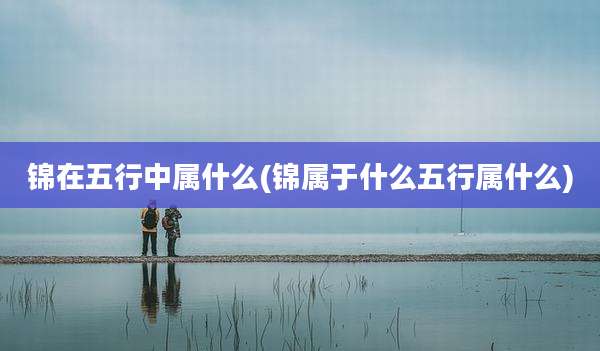锦在五行中属什么(锦属于什么五行属什么)