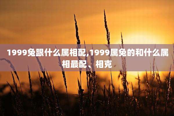 1999兔跟什么属相配,1999属兔的和什么属相最配、相克