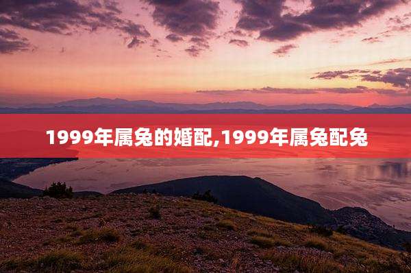 1999年属兔的婚配,1999年属兔配兔
