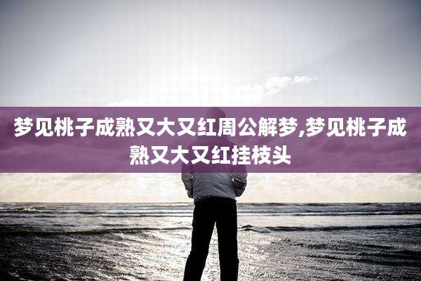 梦见桃子成熟又大又红周公解梦,梦见桃子成熟又大又红挂枝头