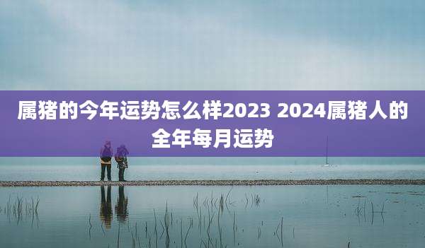 属猪的今年运势怎么样2023 2024属猪人的全年每月运势
