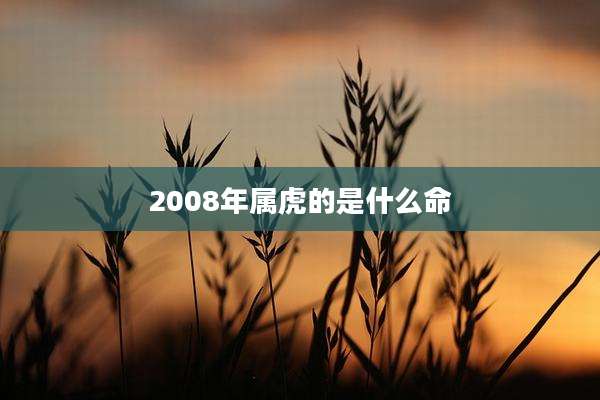 2008年属虎的是什么命