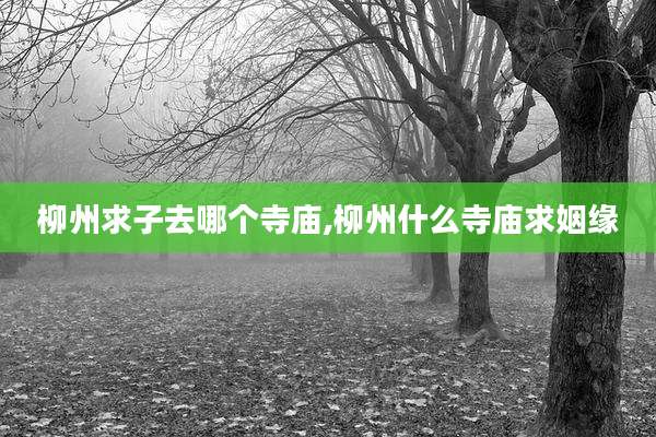 柳州求子去哪个寺庙,柳州什么寺庙求姻缘