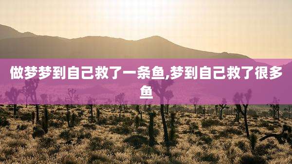 做梦梦到自己救了一条鱼,梦到自己救了很多鱼