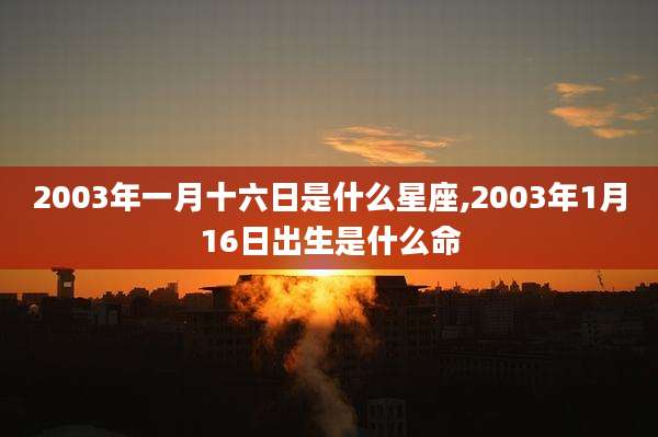 2003年一月十六日是什么星座,2003年1月16日出生是什么命