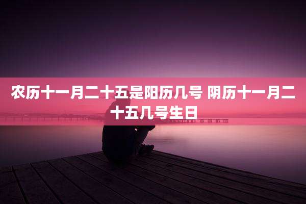 农历十一月二十五是阳历几号 阴历十一月二十五几号生日