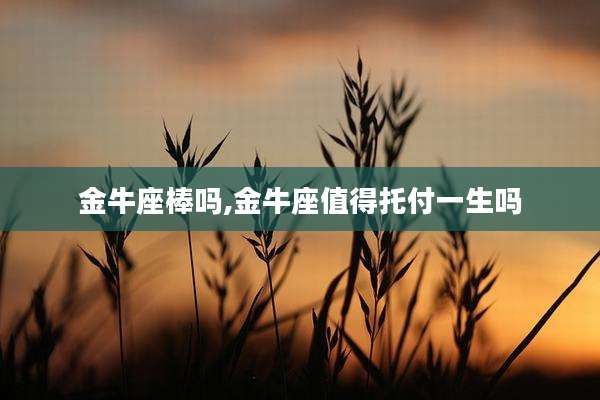 金牛座棒吗,金牛座值得托付一生吗