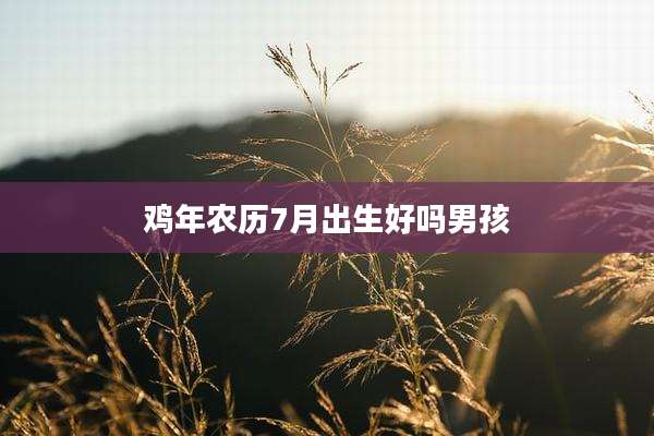鸡年农历7月出生好吗男孩