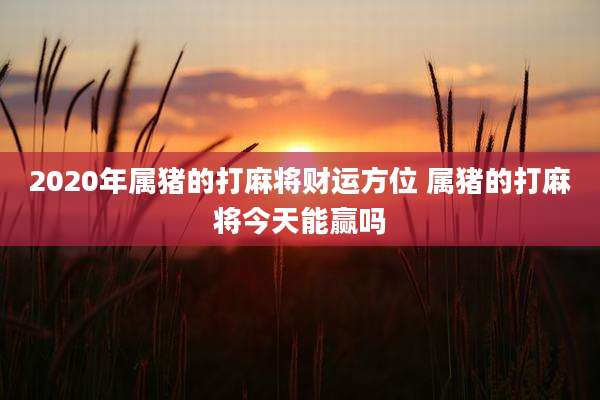 2020年属猪的打麻将财运方位 属猪的打麻将今天能赢吗