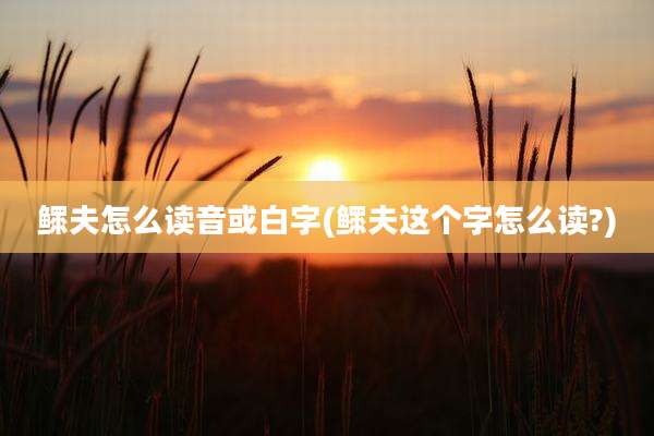 鳏夫怎么读音或白字(鳏夫这个字怎么读?)