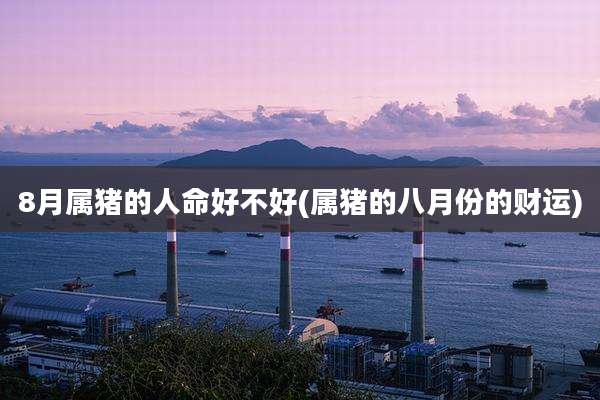 8月属猪的人命好不好(属猪的八月份的财运)