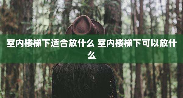 室内楼梯下适合放什么 室内楼梯下可以放什么